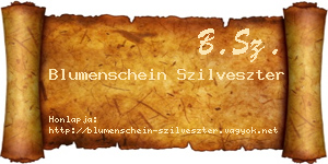 Blumenschein Szilveszter névjegykártya